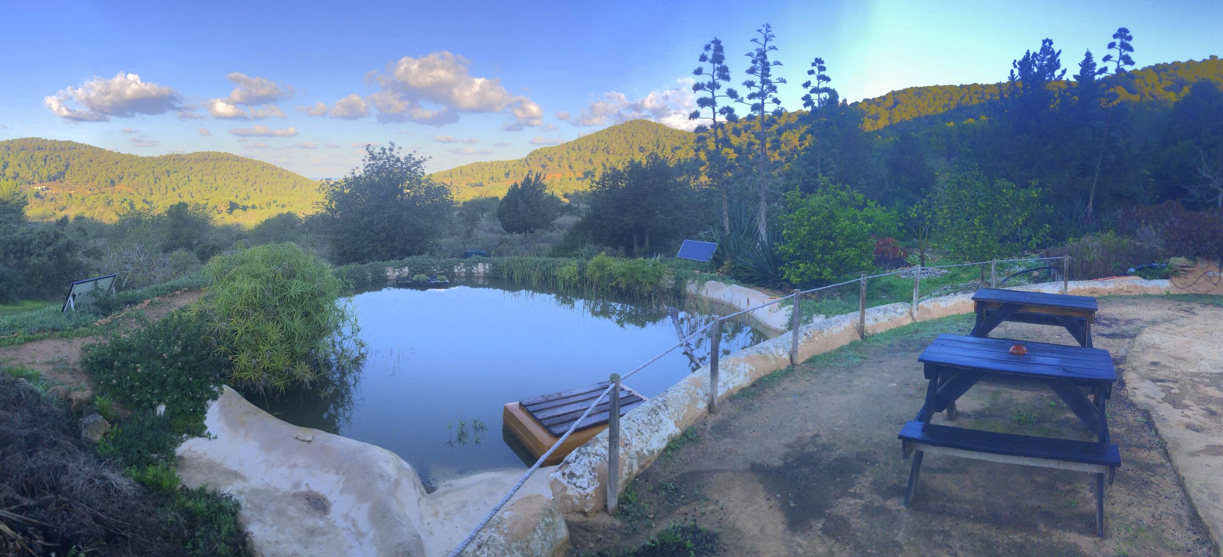 The eco pond at Casita Verde in the morning light